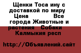 Щенки Тоса-ину с доставкой по миру › Цена ­ 68 000 - Все города Животные и растения » Собаки   . Калмыкия респ.